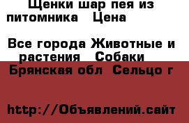 Щенки шар-пея из питомника › Цена ­ 15 000 - Все города Животные и растения » Собаки   . Брянская обл.,Сельцо г.